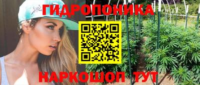 дмт Волжск