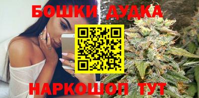дмт Гатчина