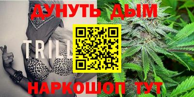 гашик Волгодонск