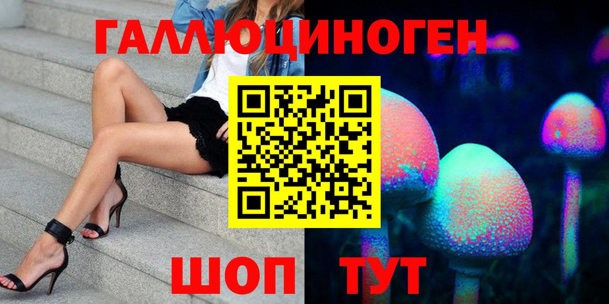 купить наркоту  Галлюциногенные грибы GOLDEN TEACHER  Магадан  Вход с VPN  Псилоцибиновые грибы мицелий 