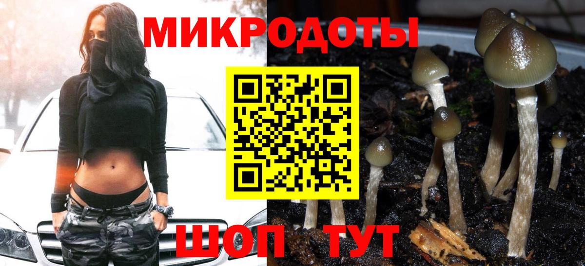 Псилоцибиновые грибы прущие грибы Магадан